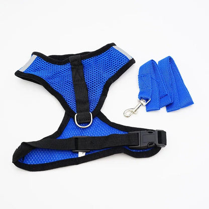 Dog & Cat Chest Strap Outdoor Leash