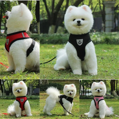 Dog & Cat Chest Strap Outdoor Leash